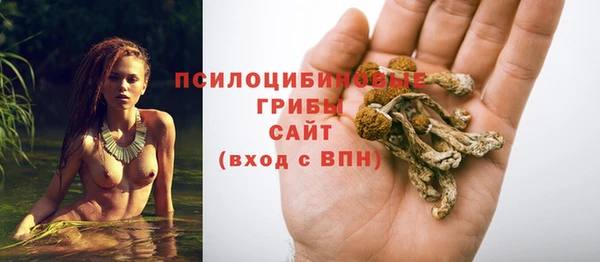 винт Абинск