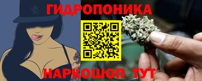 мяу мяу мука Кудрово