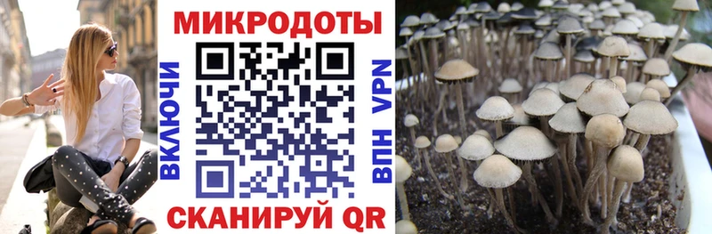 Псилоцибиновые грибы ЛСД  где купить наркоту  Иркутск 